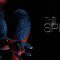 The Amazing Spider-Man