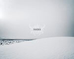 Knell