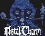 METAL CHARM