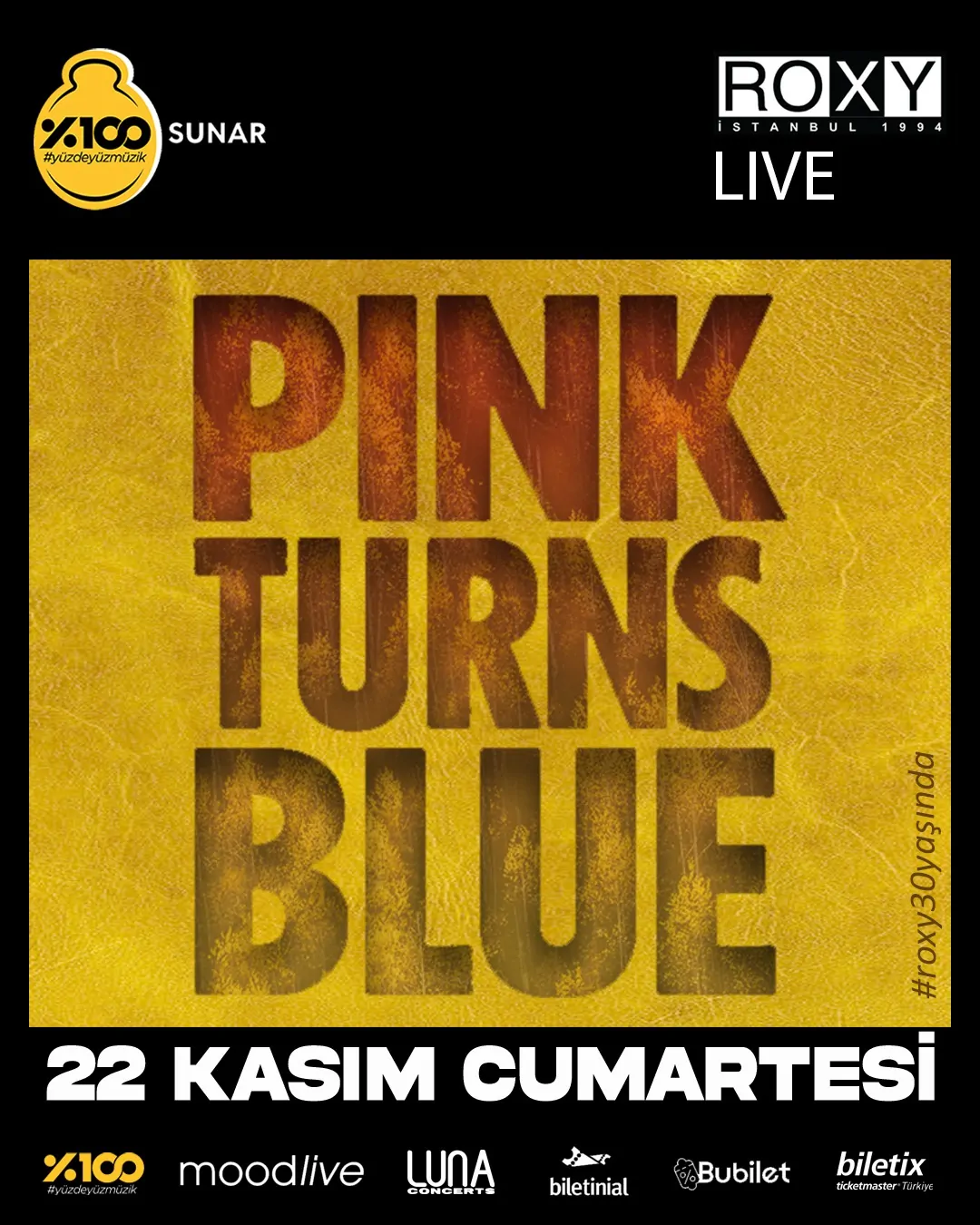 pinkturnblue_istanbul_konseri